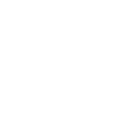 spark-plug