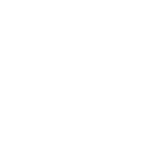 suspension (1)