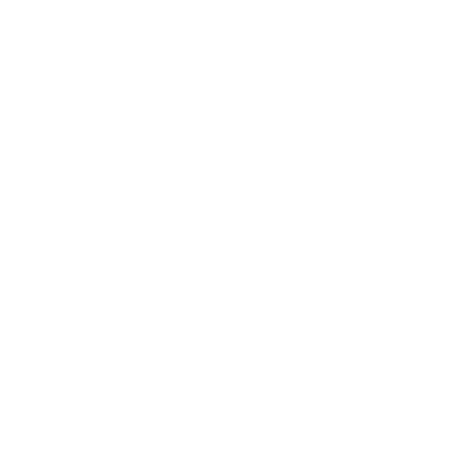 turbocharger (2)